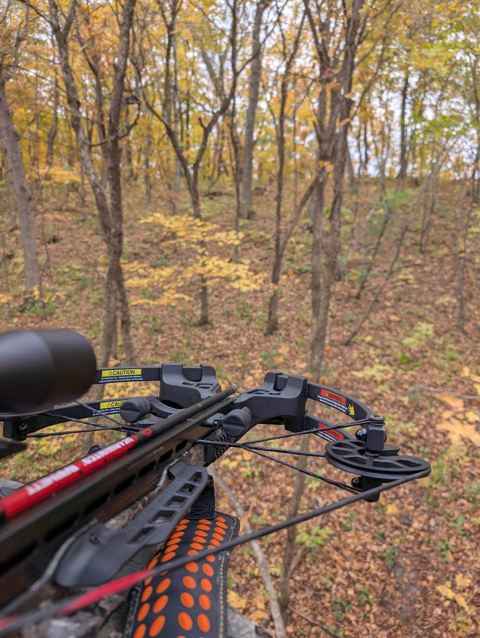 Compound bow overlooking an autumn forest