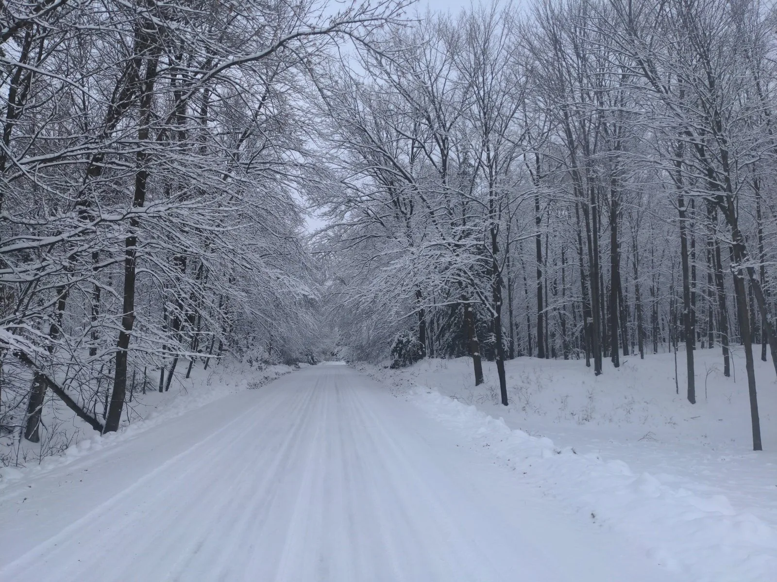 Snow-covered road winding through a winter forest