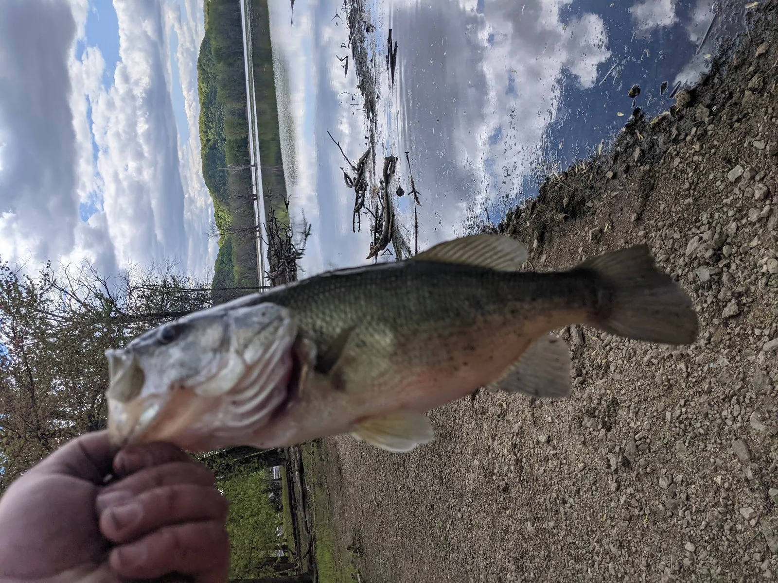 Largemouth bass held up with a scenic lake and hills in the background